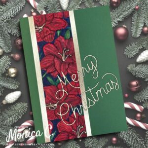 A second Amaryllis Christmas card done with an embossed panel